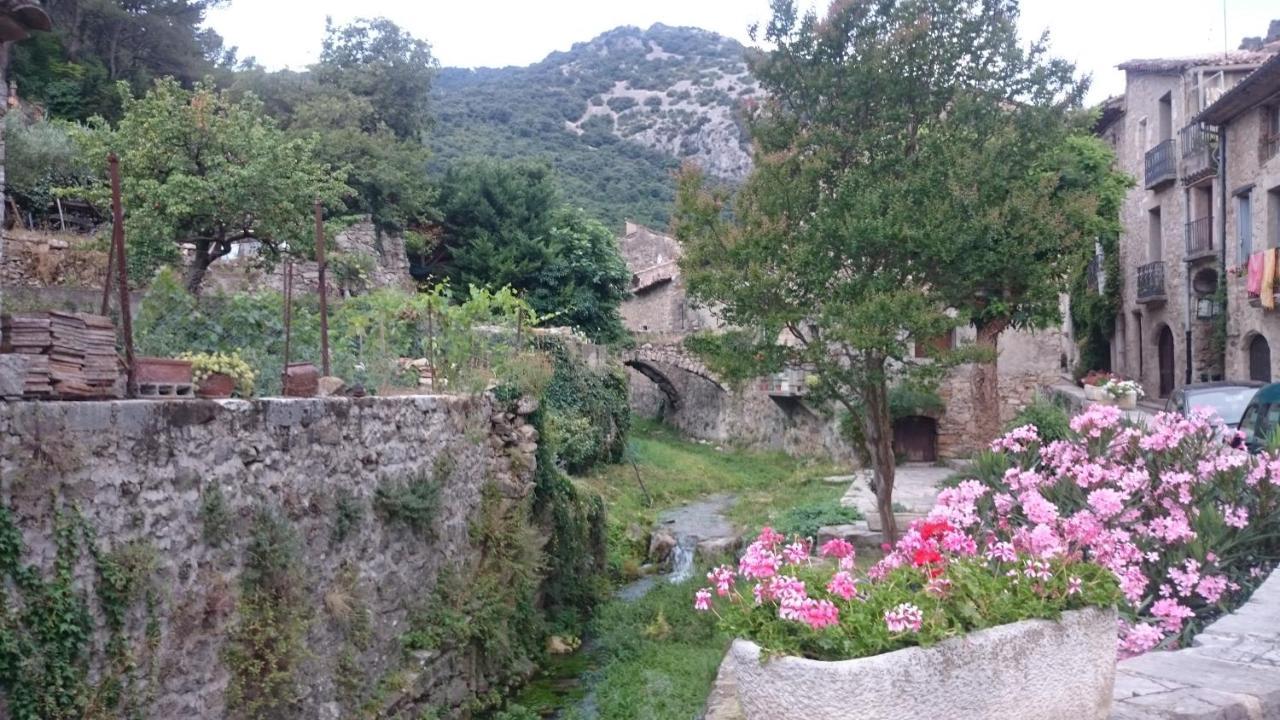 Gite De La Tour Saint-Guilhem-le-Desert Exterior foto