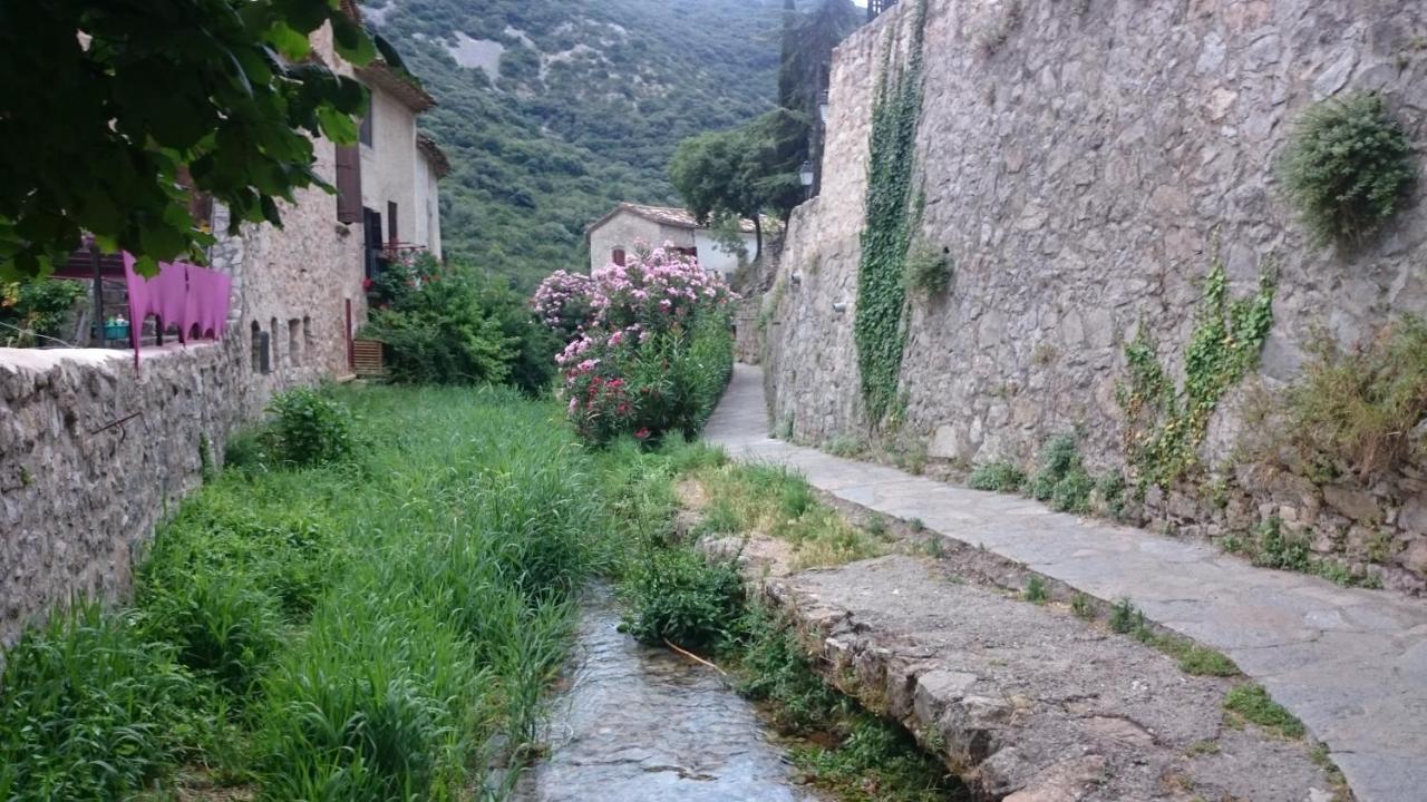Gite De La Tour Saint-Guilhem-le-Desert Exterior foto